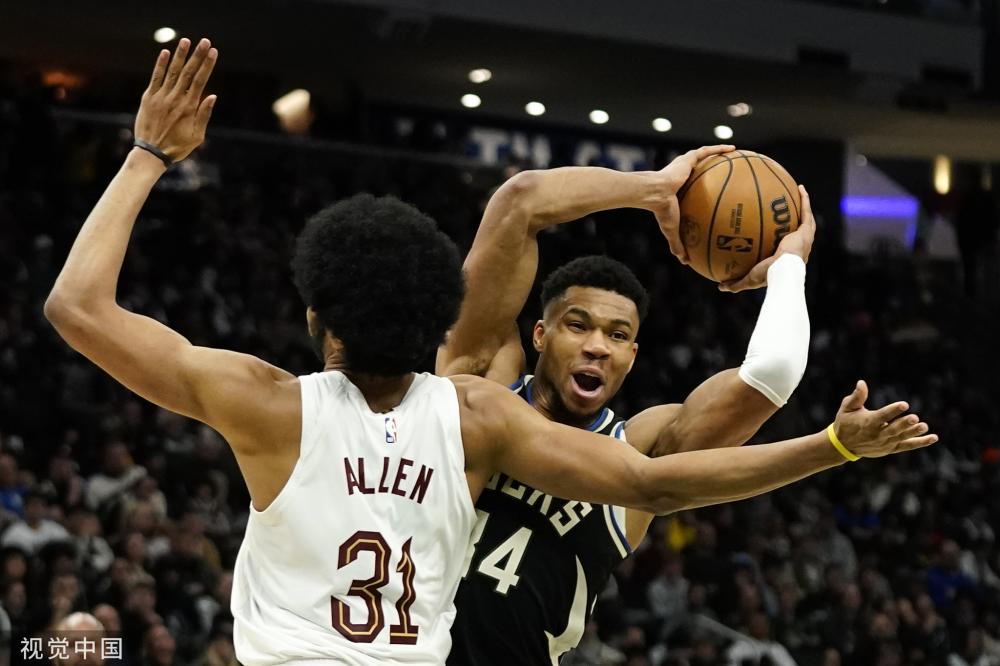 他们引进了 他们引进了