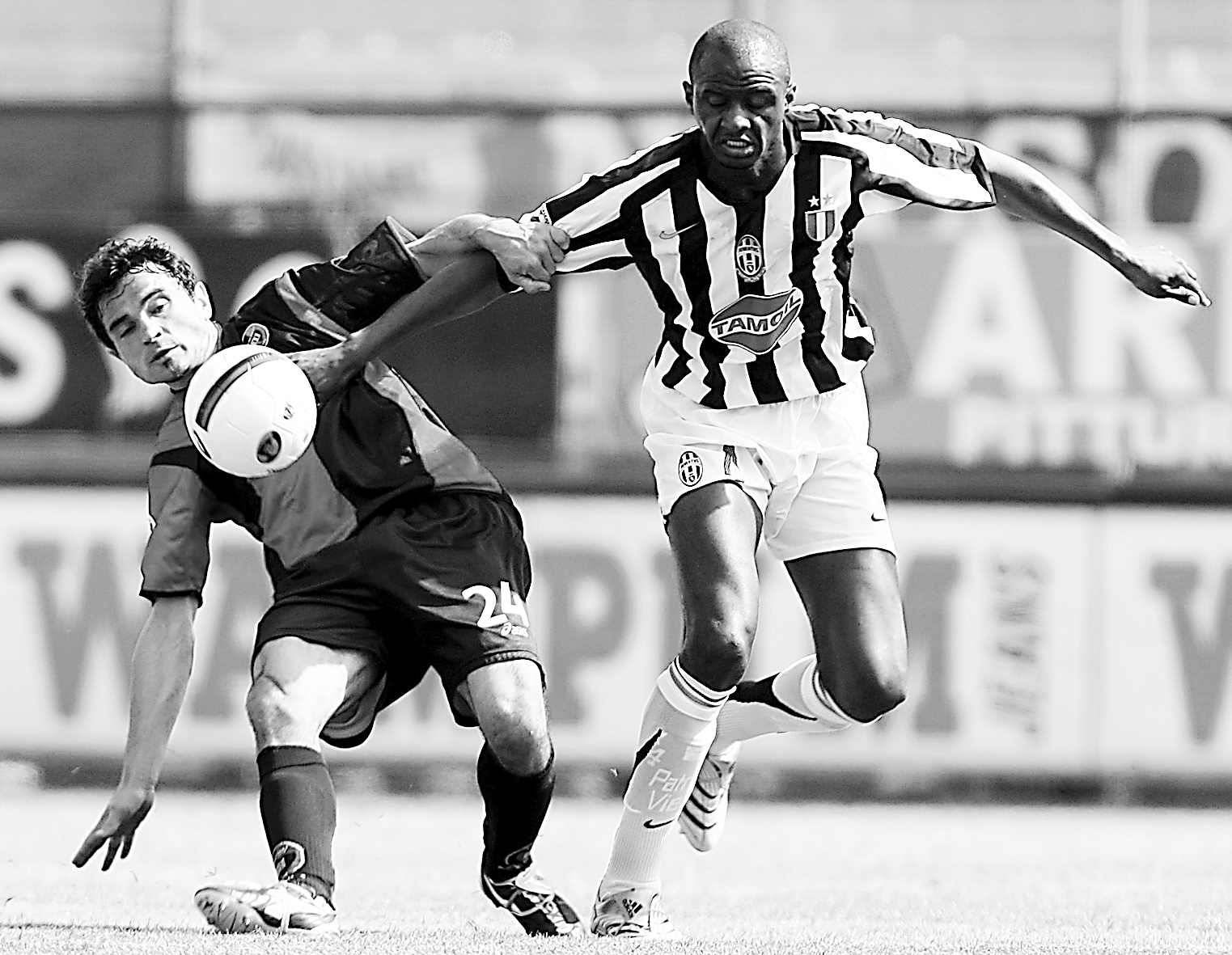 空中猎手 空中猎手