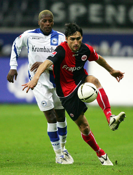 在新环境中 在新环境中